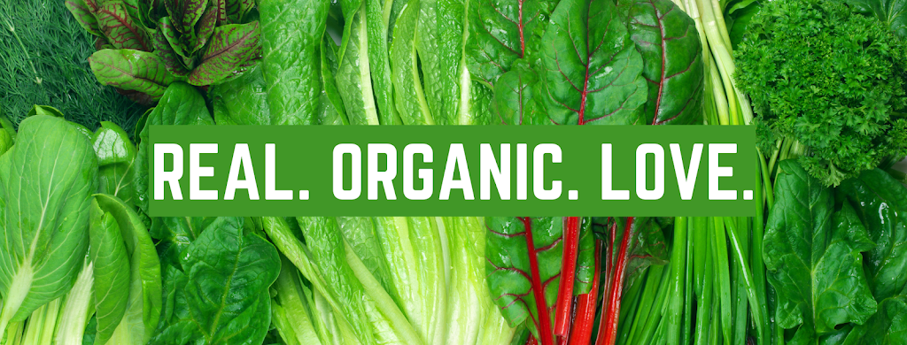 Prema Organic Cafe | restaurant | 3557 E County Hwy 30A, Santa Rosa Beach, FL 32459, USA | 8502133023 OR +1 850-213-3023