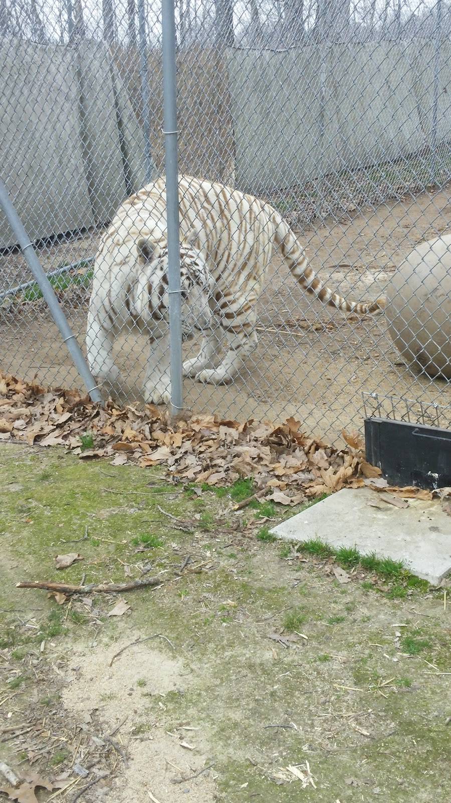 Arbys | restaurant | 1315 S Cannon Blvd, Kannapolis, NC 28083, USA | 7049323300 OR +1 704-932-3300