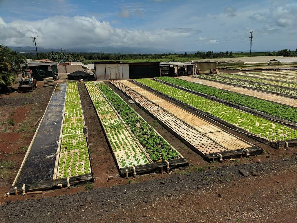 Kō Hana Distillers | restaurant | 92-1770 Kunia Rd #227, Kunia Camp, HI 96759, USA | 8085174067 OR +1 808-517-4067