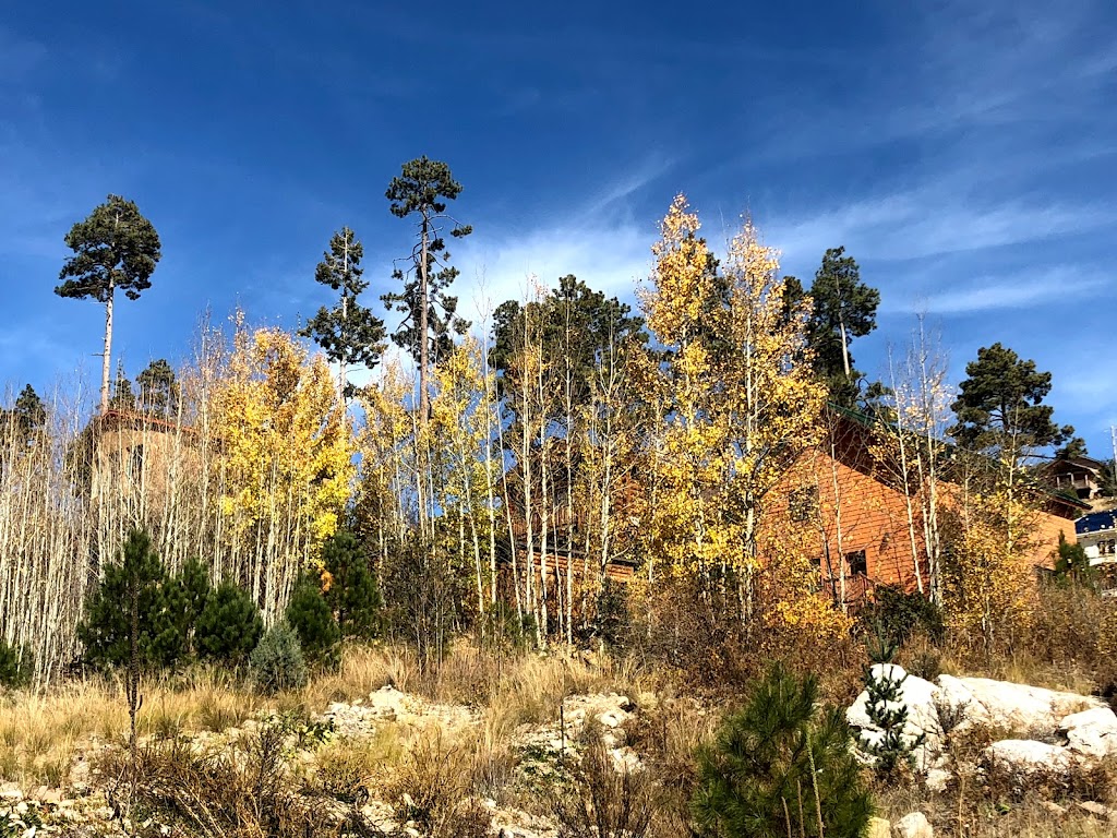 Mt Lemmon Realty Inc | restaurant | 11230 E Turkey Run Rd, Mt Lemmon, AZ 85619, USA | 5205761333 OR +1 520-576-1333