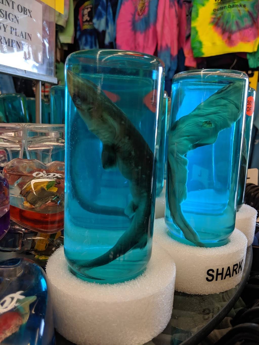 China King | meal takeaway | 1728 N Croatan Hwy, Kill Devil Hills, NC 27948, USA | 2524492198 OR +1 252-449-2198