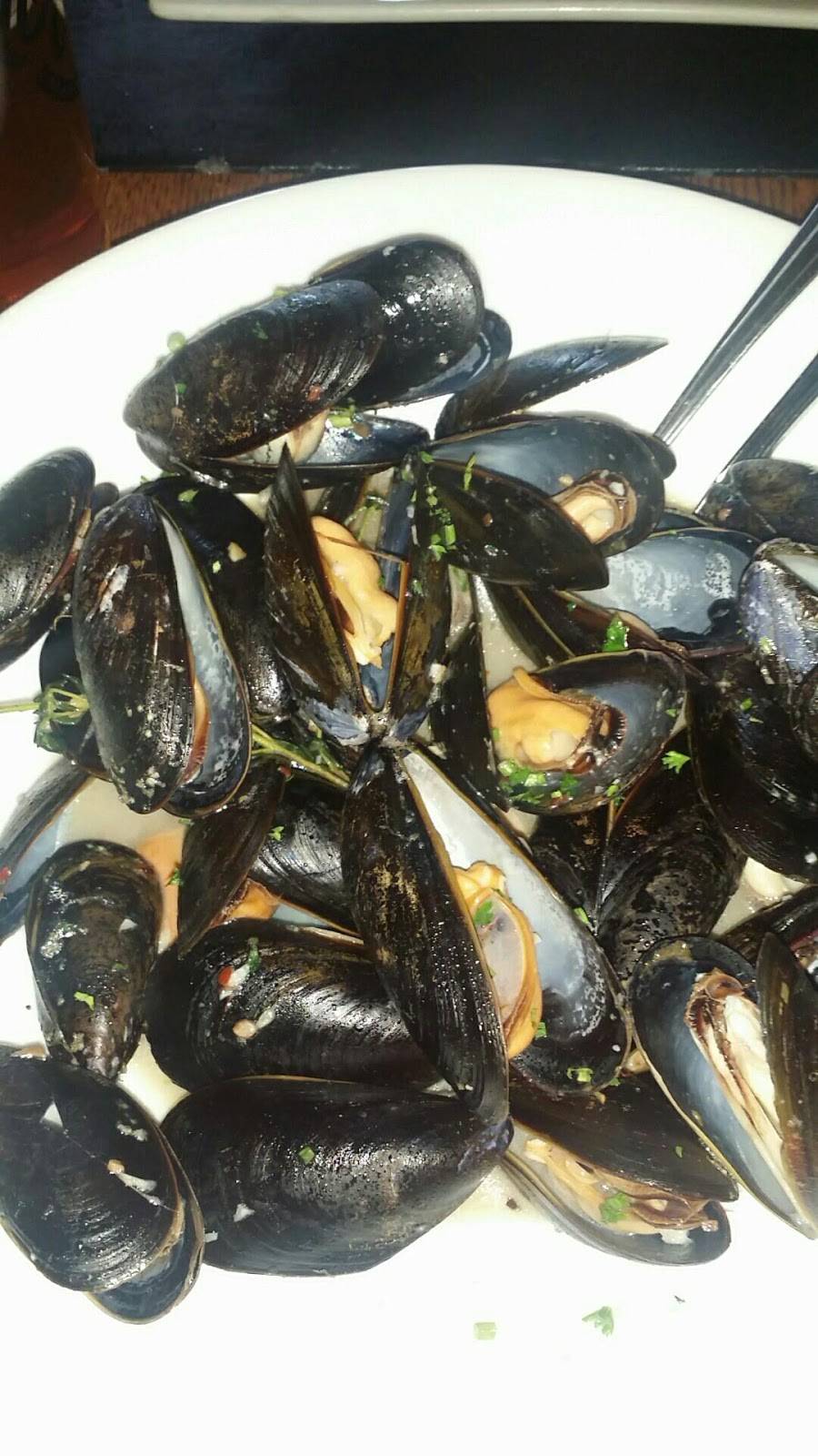 Maxs Seafood Café | restaurant | 34 N Burlington St, Gloucester City, NJ 08030, USA | 8564569774 OR +1 856-456-9774