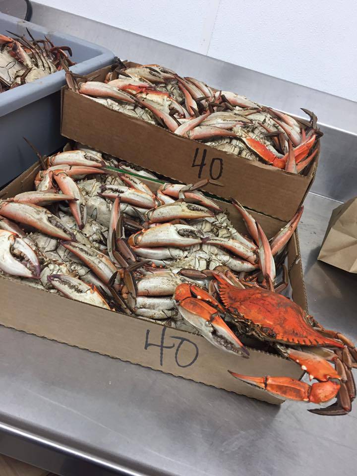 Martin Brothers Seafood Co | restaurant | 133 Westbank Expy, Westwego, LA 70094, USA | 5043412251 OR +1 504-341-2251