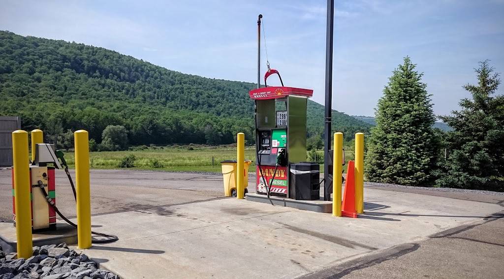 Dandy Mini Mart | meal takeaway | 179 NY-414, Beaver Dams, NY 14812, USA | 6079364552 OR +1 607-936-4552