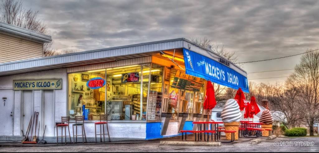 The Original Mickeys Igloo | restaurant | 416 E Chester St, Kingston, NY 12401, USA | 8458020201 OR +1 845-802-0201