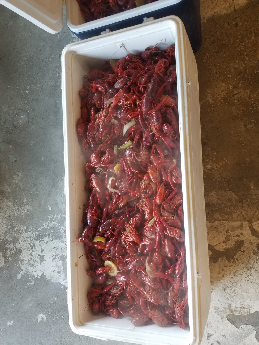 HotHeads Crawfish | restaurant | 910 Versailles Blvd, Alexandria, LA 71303, USA | 3186644884 OR +1 318-664-4884