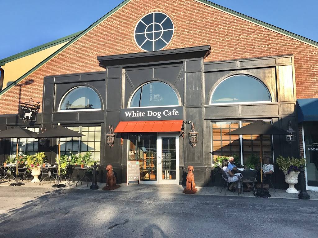 White Dog Cafe Haverford | restaurant | 379 Lancaster Ave, Haverford, PA 19041, USA | 6108964556 OR +1 610-896-4556