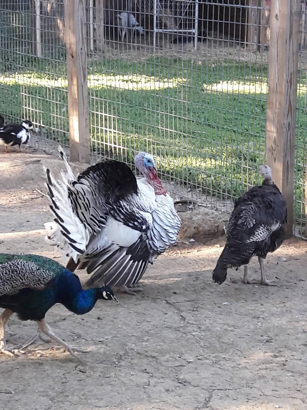 Spring Meadow Station | restaurant | 15513 Hanover Pike, Upperco, MD 21155, USA | 4108337826 OR +1 410-833-7826