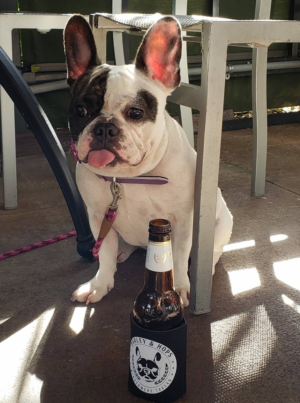 Barley & Hops Windermere Tavern | restaurant | 7782 Winter Garden Vineland Rd, Windermere, FL 34786, USA | 4073473688 OR +1 407-347-3688