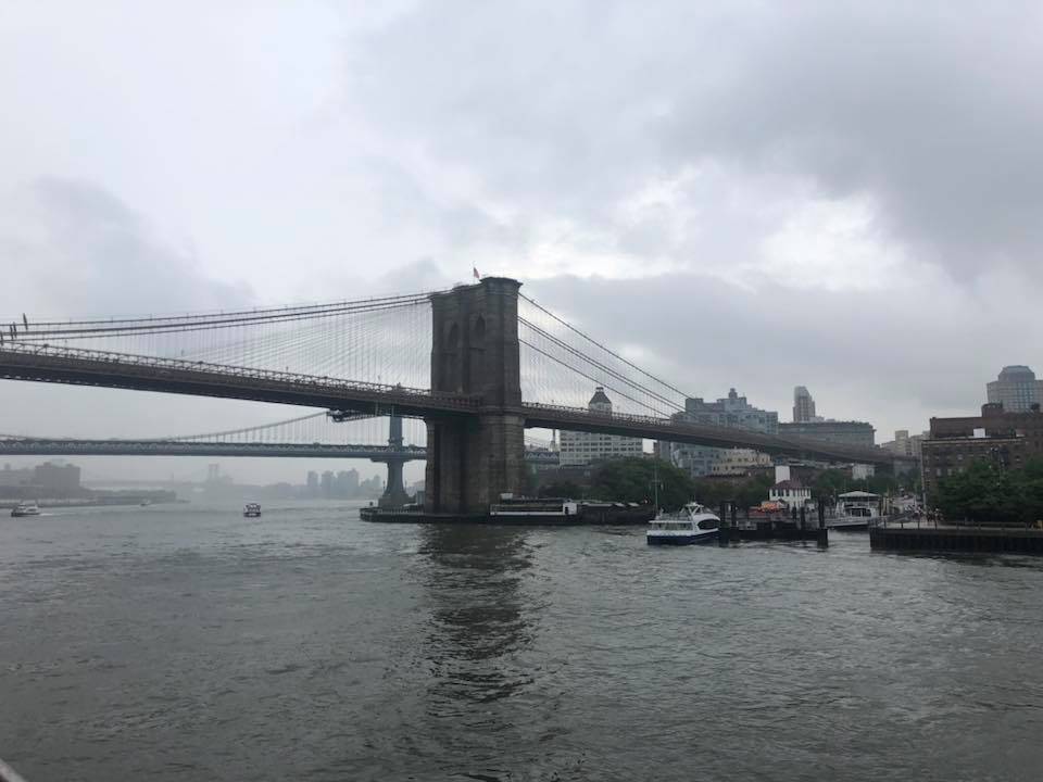 Golden Gate | meal takeaway | 300 W 231st St, Bronx, NY 10463, USA | 7188840077 OR +1 718-884-0077