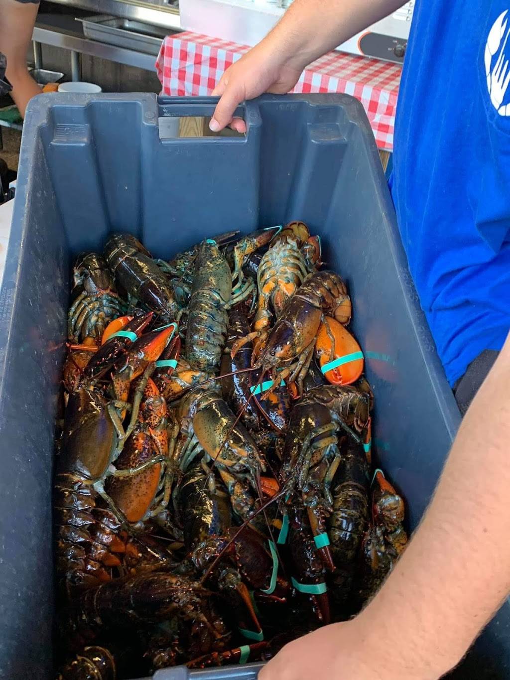 Blue Collar Lobster Co. | restaurant | 63 Rogers St, Gloucester, MA 01930, USA | 9782831812 OR +1 978-283-1812