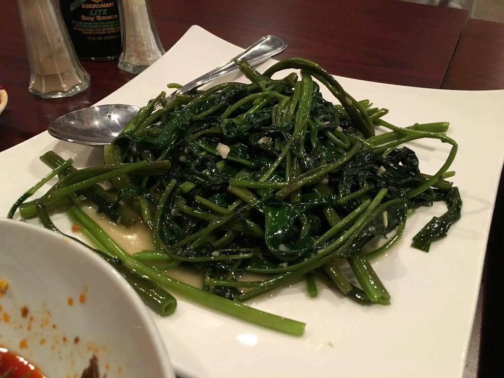 Szechuan Hot Pot | restaurant | 4000 Virginia Beach Blvd ste 176, Virginia Beach, VA 23452, USA | 7576316831 OR +1 757-631-6831