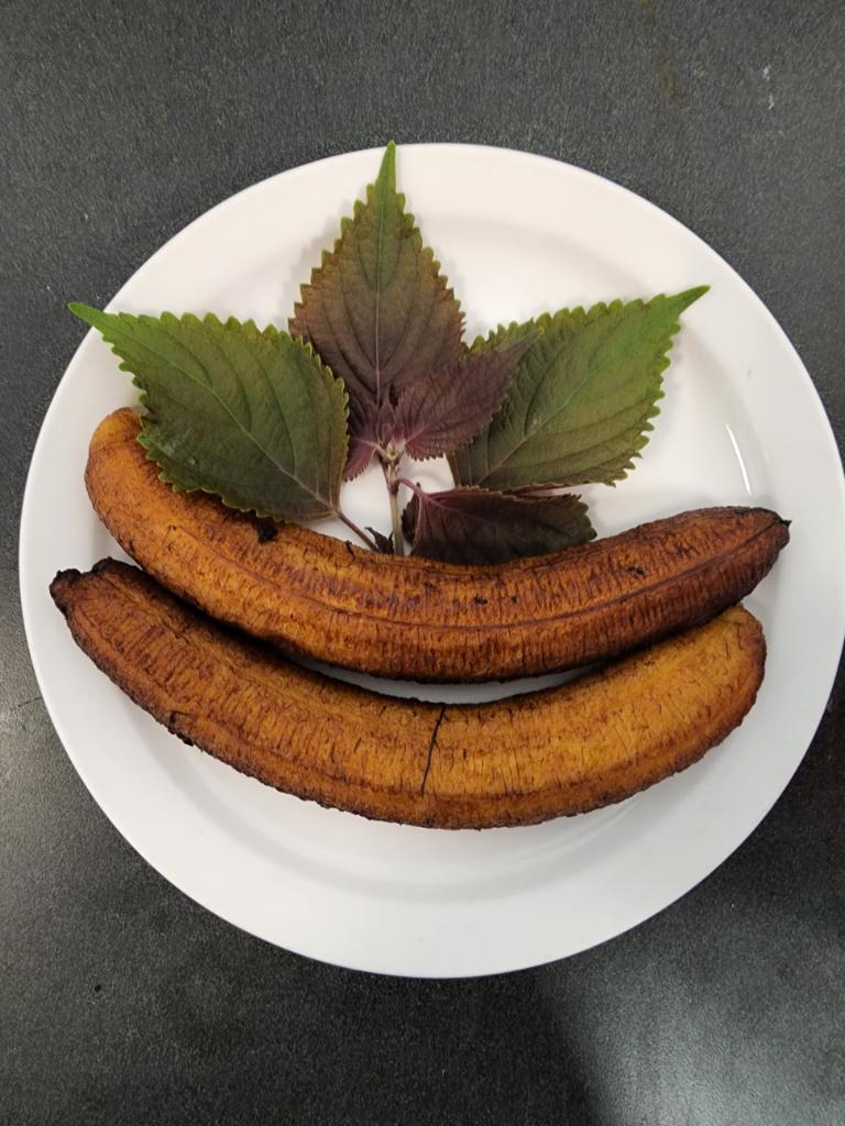 Avas Bistro | meal takeaway | 3202 Marina Bay Dr Suite L, League City, TX 77573, USA | 2815326163 OR +1 281-532-6163