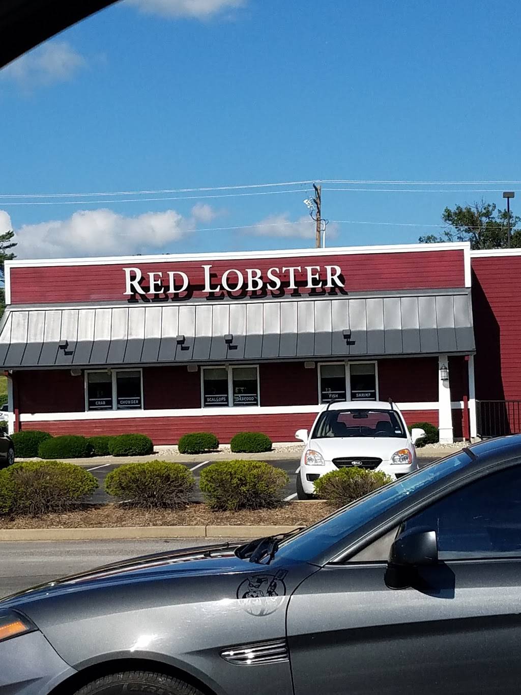 Red Lobster | restaurant | 2020 N Dixie Hwy, Elizabethtown, KY 42701, USA | 2707653339 OR +1 270-765-3339