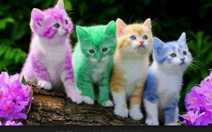 Subway | restaurant | Shops at Old Campbell, 8420 Senoia Rd Suite 107, Fairburn, GA 30213, USA | 7703061629 OR +1 770-306-1629