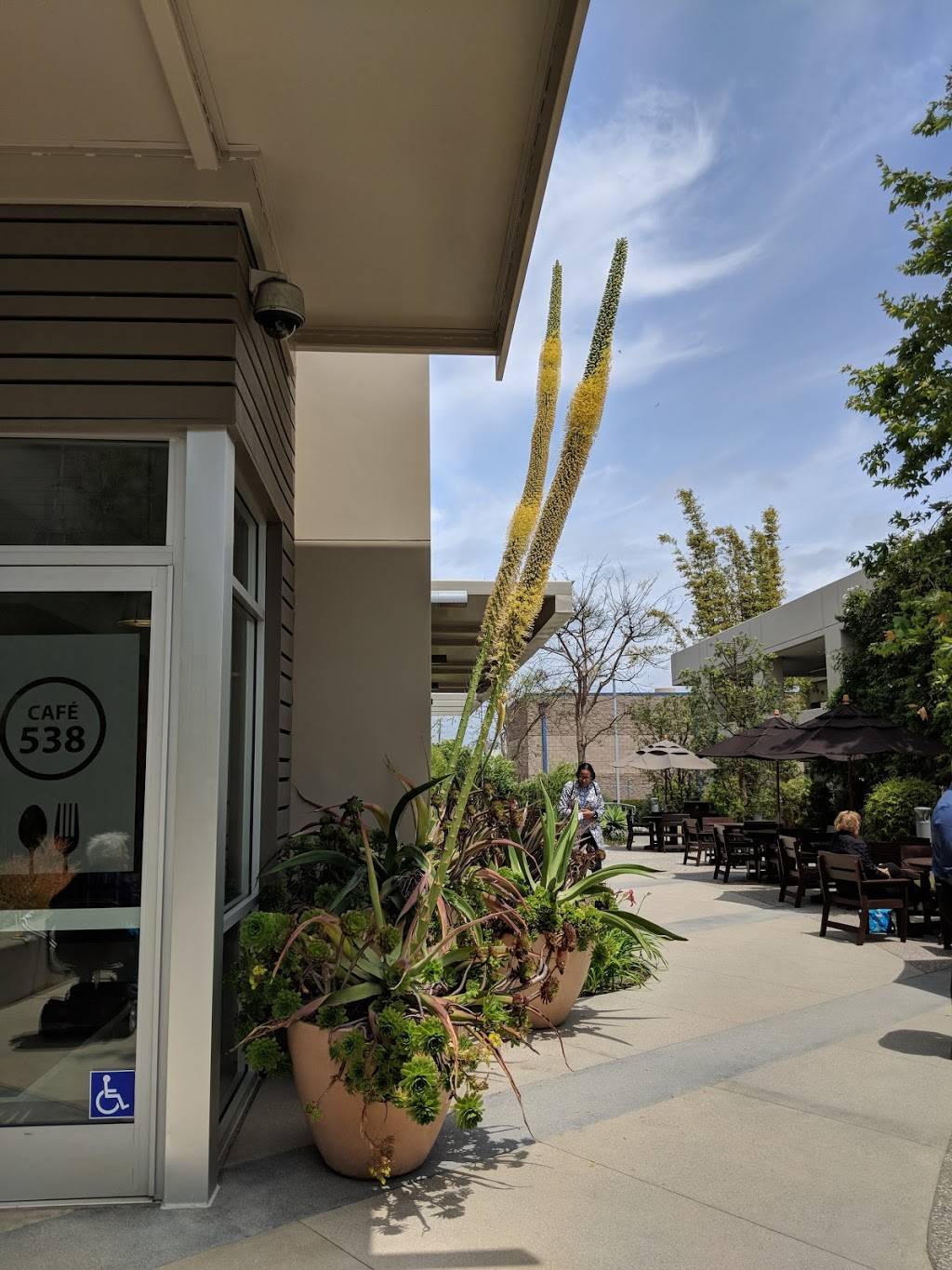 Cafe 538 Tin | cafe | 538 Superior Ave, Newport Beach, CA 92663, USA | 9496452233 OR +1 949-645-2233