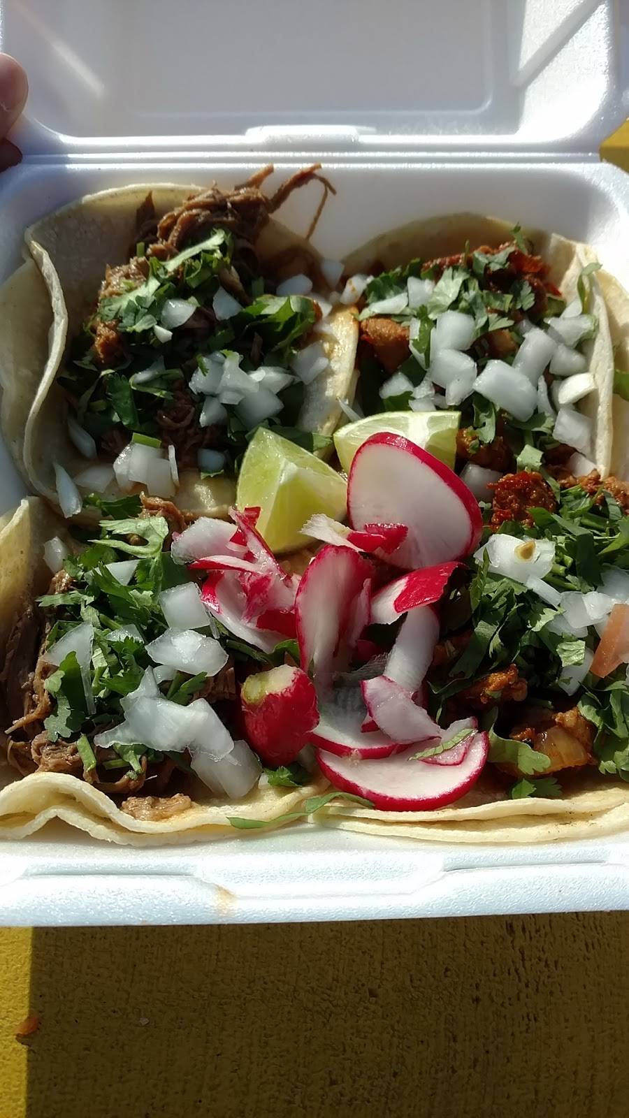 Taqueria El Jaliscience | restaurant | 38424 Pioneer Blvd, Sandy, OR 97055, USA | 5033817554 OR +1 503-381-7554