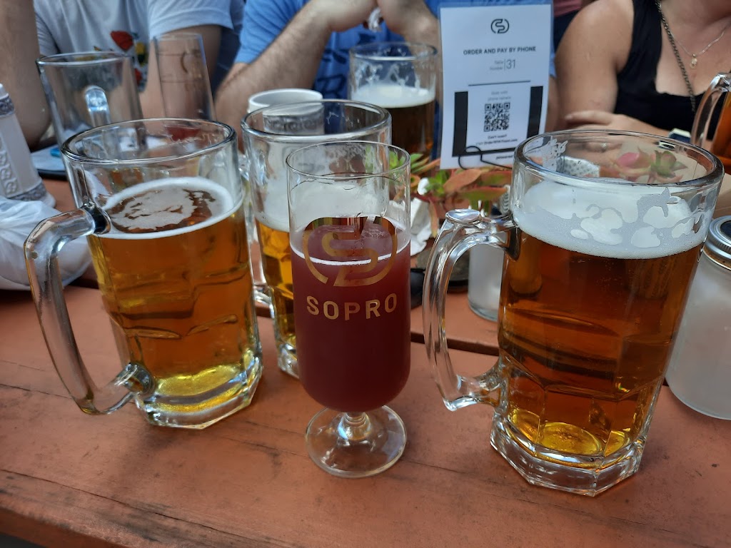 Southern Prohibition Brewing | restaurant | 301 Mobile St, Hattiesburg, MS 39401, USA | 6016024871 OR +1 601-602-4871