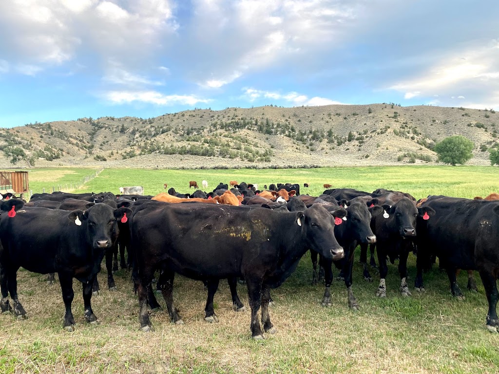 SonRise Grass Creek Guest Ranch & Supper Club | restaurant | 3809 Grass Creek Rd, Thermopolis, WY 82443, USA | 3078672035 OR +1 307-867-2035