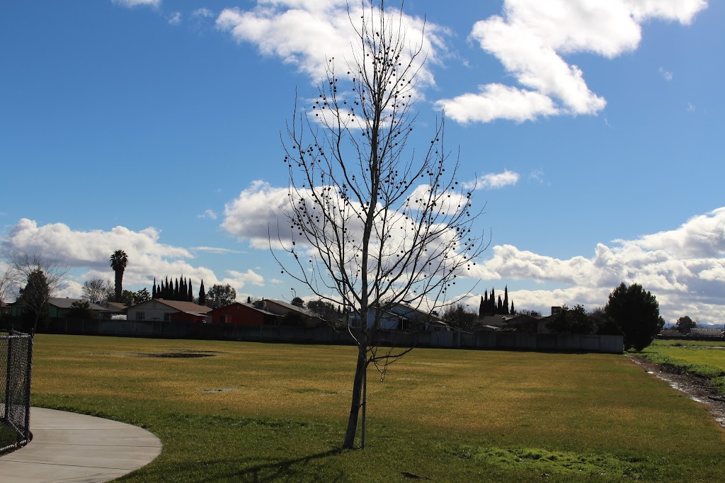 Shell | restaurant | 180 N Virginia Way, Williams, CA 95987, USA | 5304735555 OR +1 530-473-5555