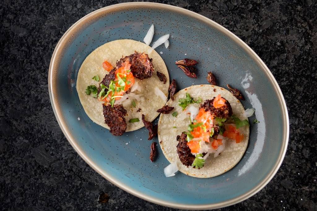 Cuishe Cocina Mexicana | restaurant | 115 N Loop 1604 E #1108, San Antonio, TX 78232, USA | 2109608935 OR +1 210-960-8935