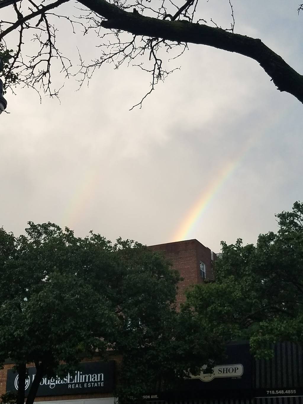 Moon Star Grill | restaurant | 3519-25 Johnson Ave, Bronx, NY 10463, USA | 7184322570 OR +1 718-432-2570