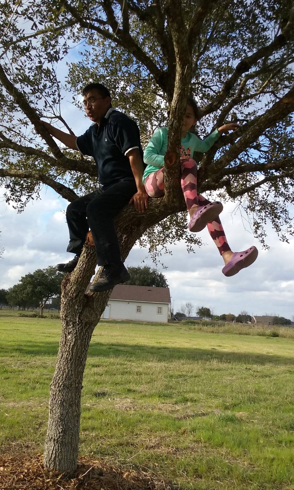 Woodburners Barbecue | restaurant | 15324 Marek Ln, Guy, TX 77444, USA | 9797933800 OR +1 979-793-3800