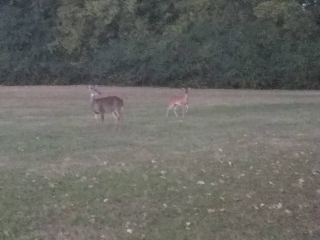 Parsleys Market & Deli 231 | meal takeaway | 122 Shelbyville Hwy, Fayetteville, TN 37334, USA | 9314335972 OR +1 931-433-5972