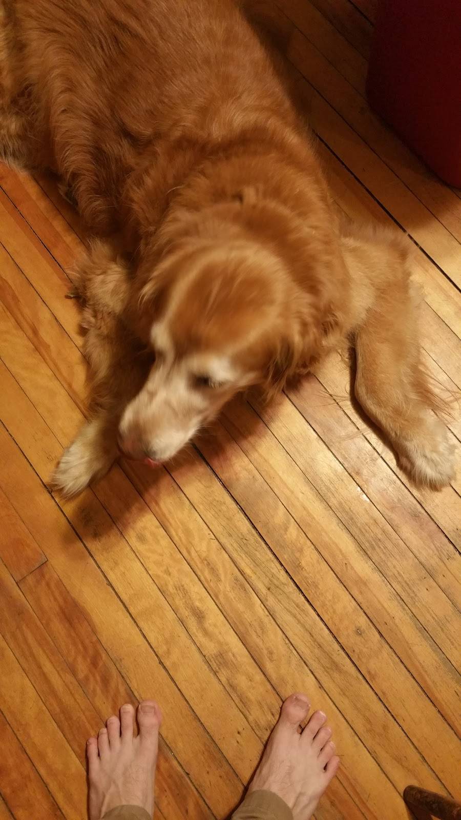 Northeast Pizza | restaurant | 1205 Main St #3, Leicester, MA 01524, USA | 5088929276 OR +1 508-892-9276