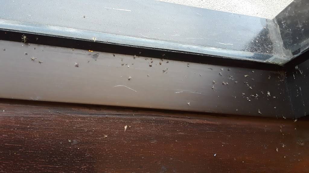 Sukhadia Foods Headquarters | bakery | 124 Case Dr, South Plainfield, NJ 07080, USA | 9082220069 OR +1 908-222-0069