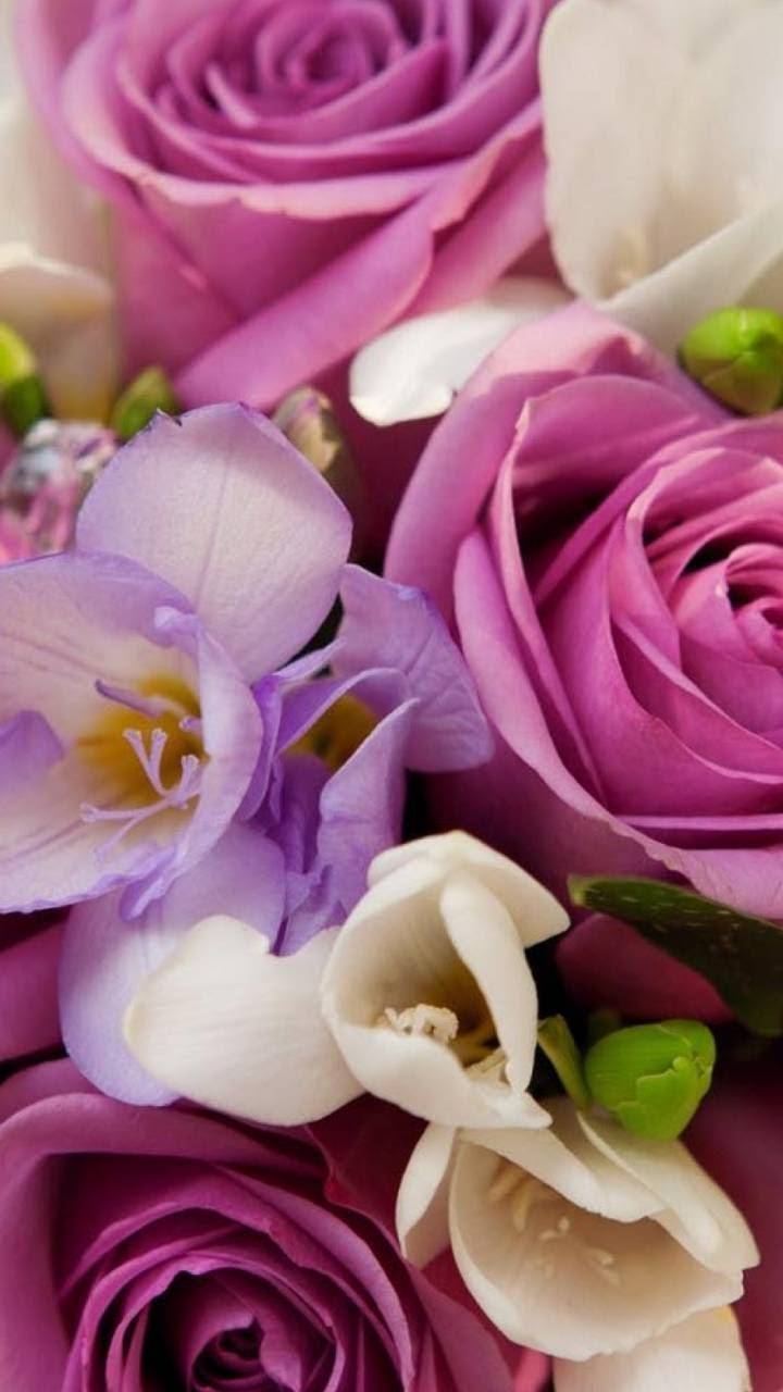 Truya Sushi | restaurant | 3255 S White Rd, San Jose, CA 95148, USA | 4082232497 OR +1 408-223-2497