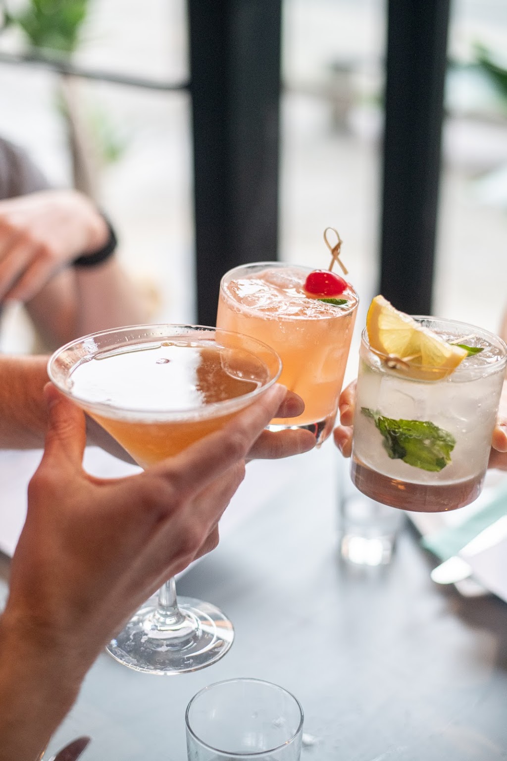 Aromi | restaurant | 552 Court St, Brooklyn, NY 11231, USA | 3475295752 OR +1 347-529-5752