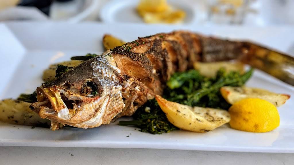 Cafe Ibiza | restaurant | 213 S Fort Lauderdale Beach Blvd, Fort Lauderdale, FL 33316, USA | 9544689953 OR +1 954-468-9953