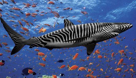 Subway | restaurant | 7030 US-27, Frostproof, FL 33843, USA | 8636352027 OR +1 863-635-2027