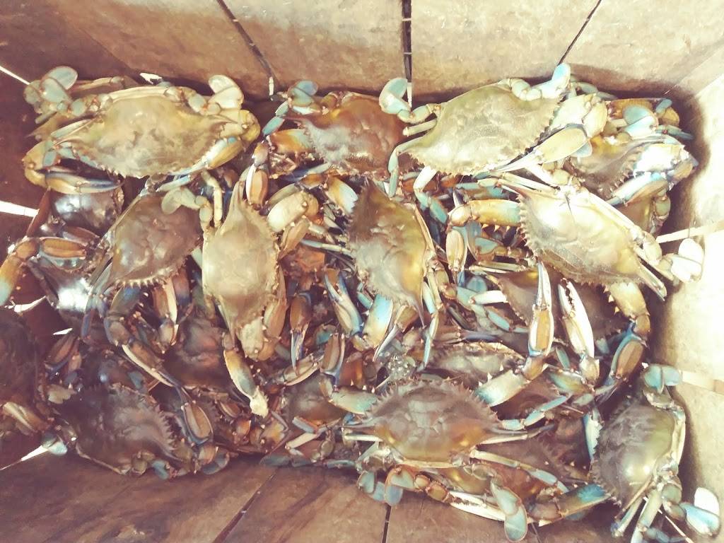 Cypress Point Store ???? | restaurant | 904 St Johns Ave, Palatka, FL 32177, USA | 3863263842 OR +1 386-326-3842