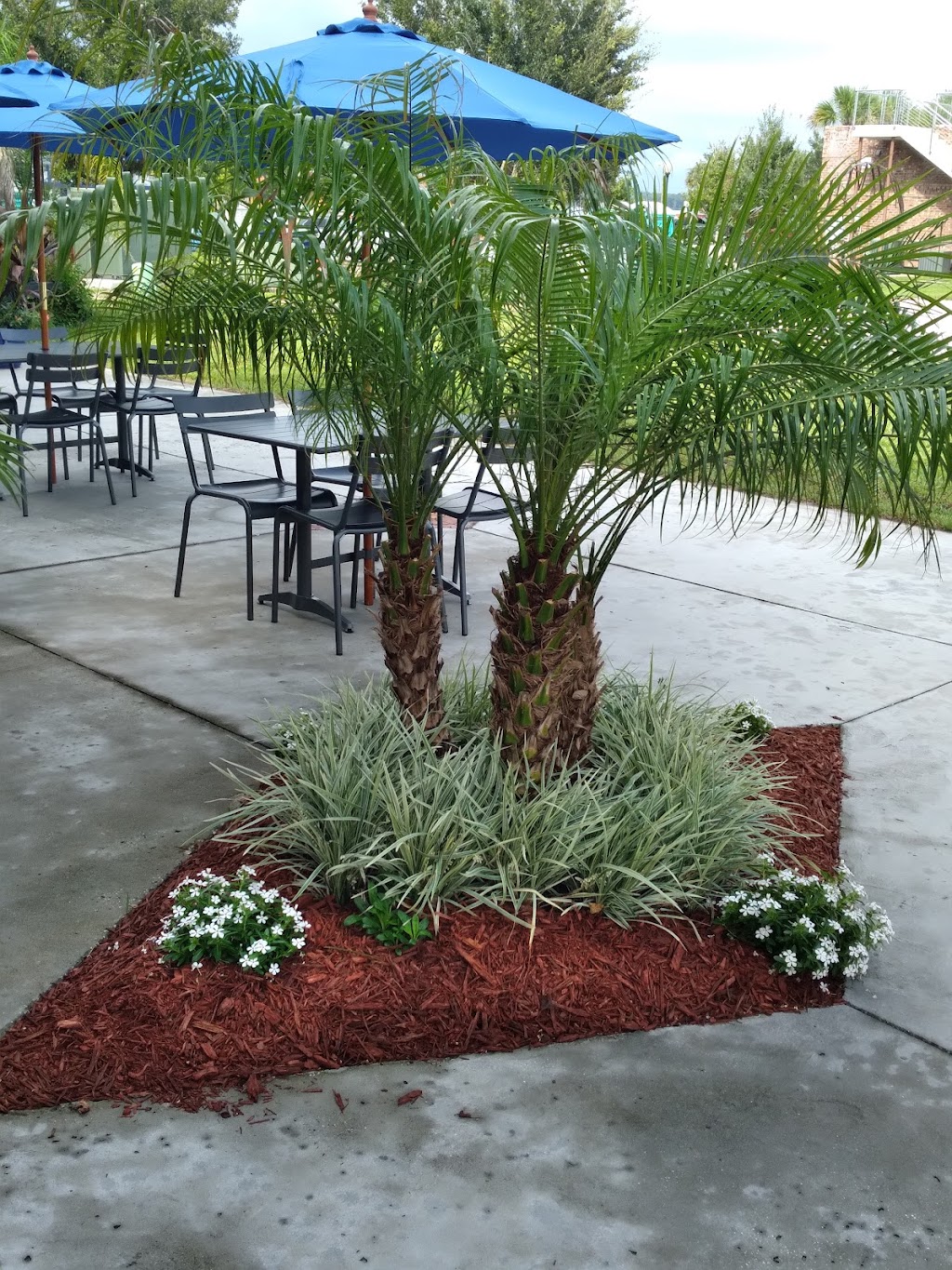 Velchoffs Corner | restaurant | 105 N 2nd St, Palatka, FL 32177, USA | 3863853265 OR +1 386-385-3265