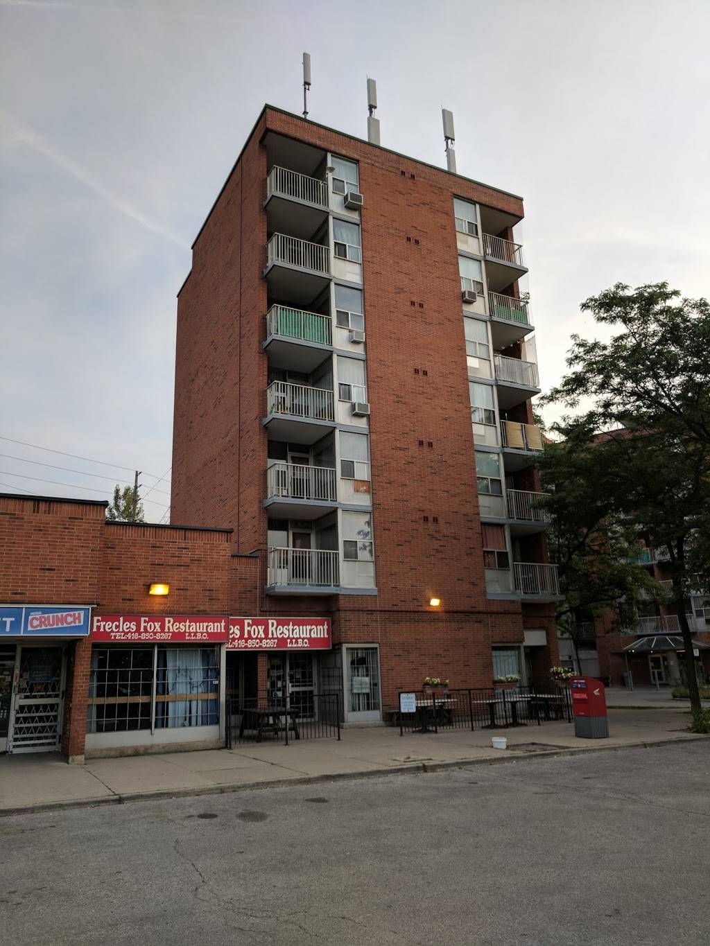 Frecles Fox Restaurant | restaurant | 100 Cavell Av, Etobicoke, ON M8V 3V6, Canada | 4168508267 OR +1 416-850-8267