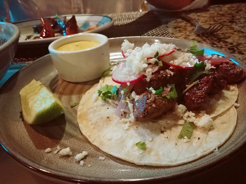 Darwin Evolutionary Cuisine | restaurant | 4141 S Tamiami Trail Suite#16, Sarasota, FL 34231, USA | 9412605964 OR +1 941-260-5964