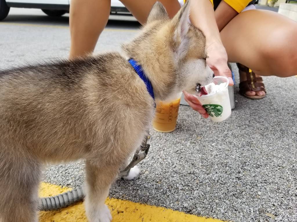 Starbucks | cafe | 1700 Avenue of Mid-America, Effingham, IL 62401, USA | 2173425577 OR +1 217-342-5577