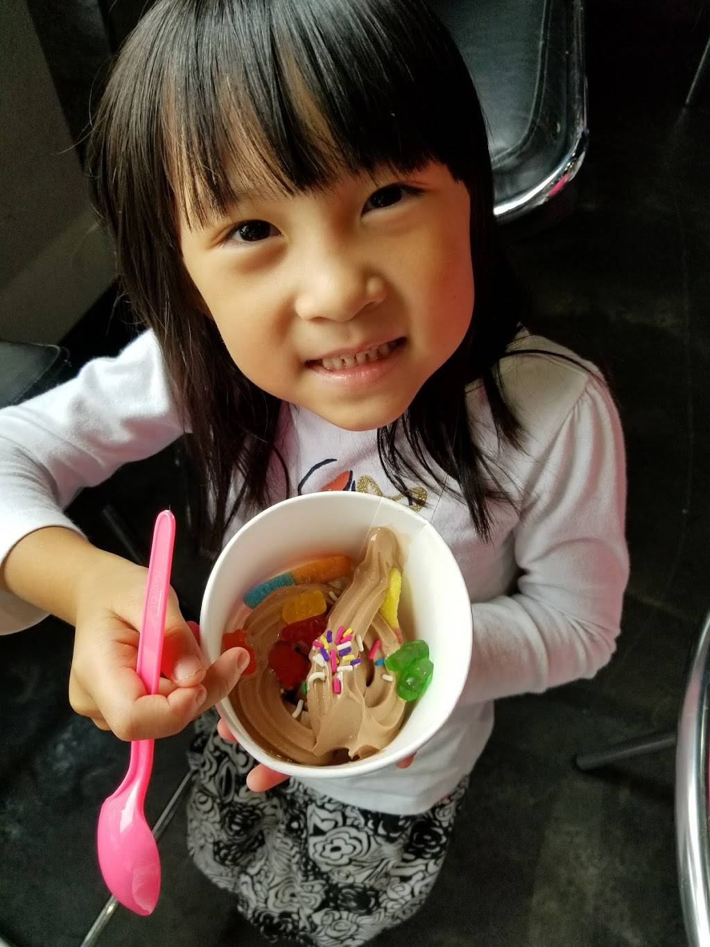 Lemonberry Frozen Yogurt | restaurant | 8483 Chippewa Rd, Brecksville, OH 44141, USA | 4405266999 OR +1 440-526-6999