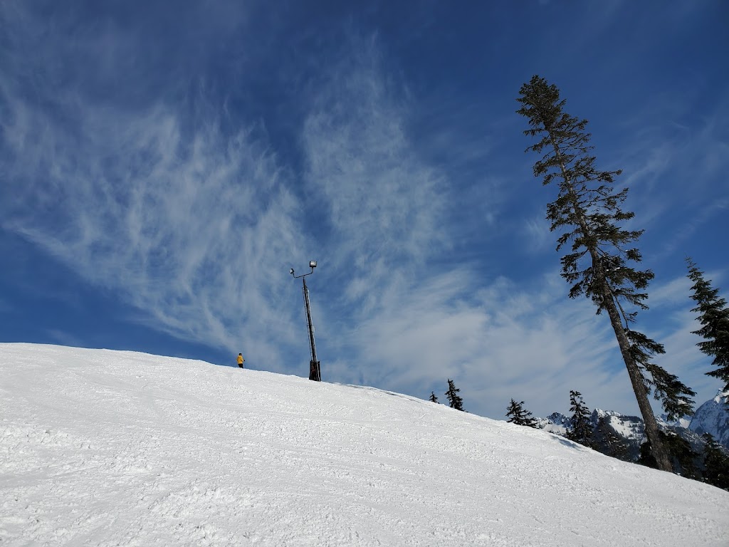 Silver Fir Lodge | restaurant | 80 Tanner Way, Snoqualmie Pass, WA 98068, USA | 4254347669 OR +1 425-434-7669