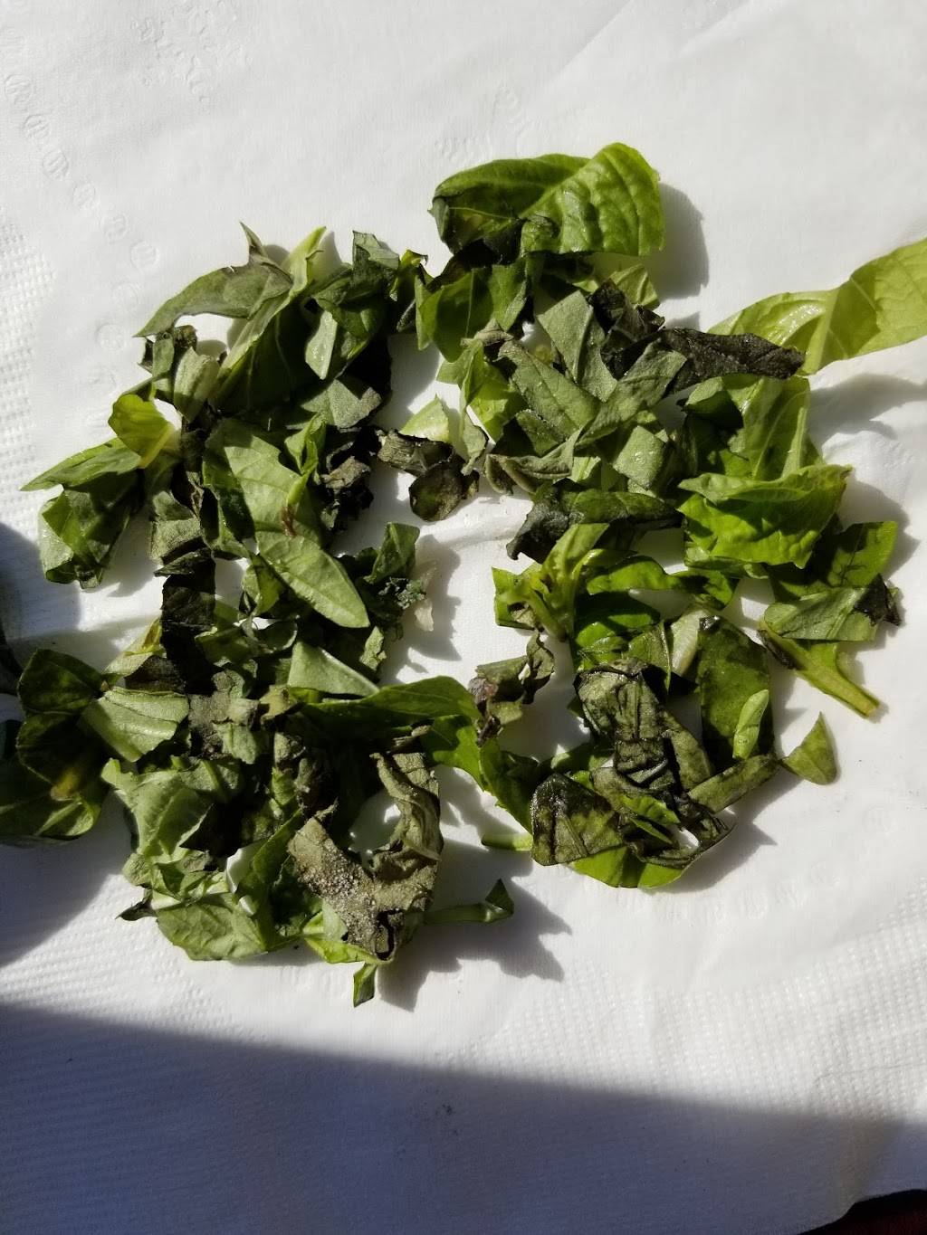 Anthonys Coal Fired Pizza | meal takeaway | 420 E Altamonte Dr, Altamonte Springs, FL 32701, USA | 4072602625 OR +1 407-260-2625