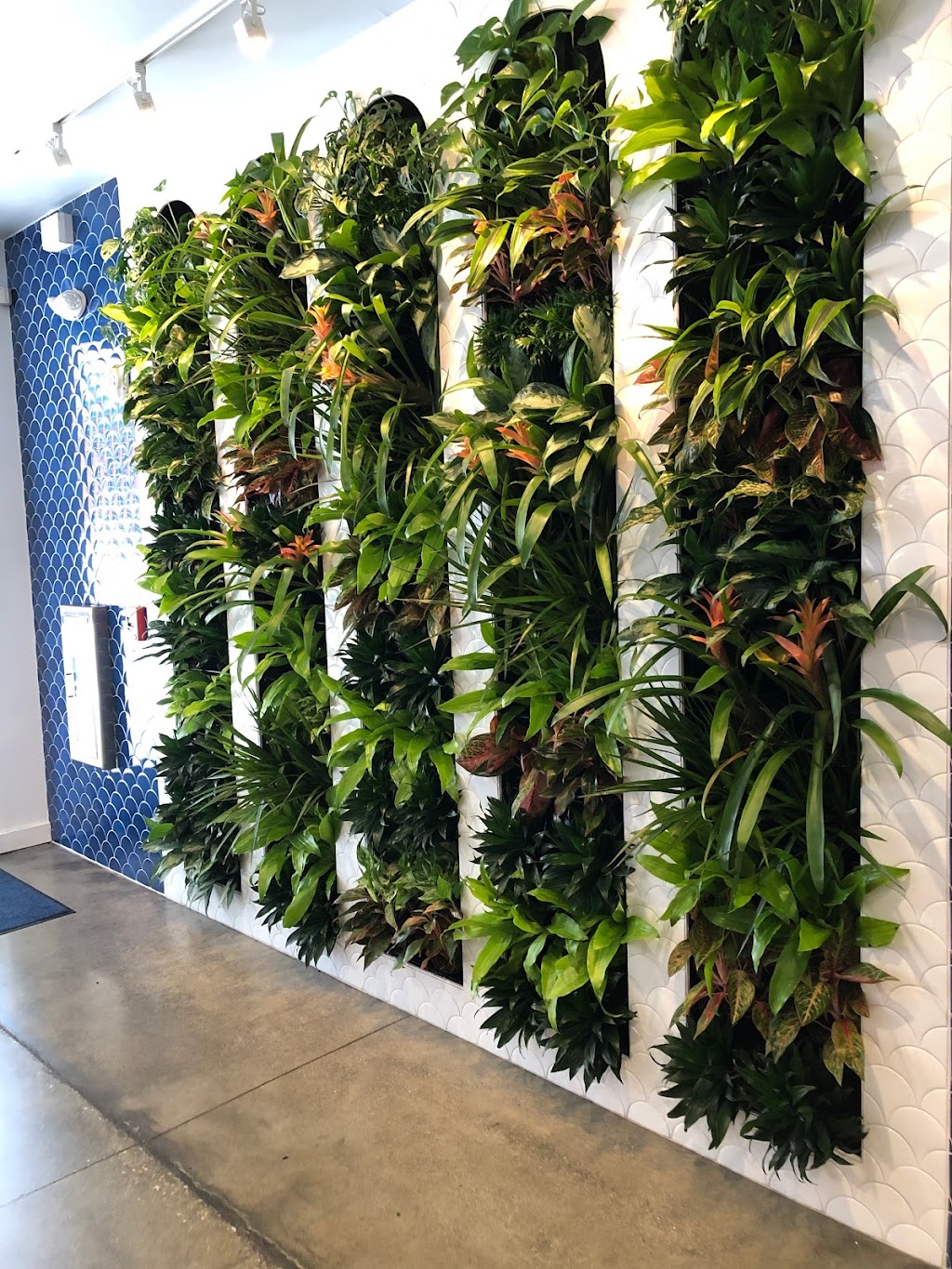 Parsley and Mint Mediterranean Eatery | restaurant | 600 S Main St Suite 101, Greenville, SC 29601, USA | 8644128199 OR +1 864-412-8199