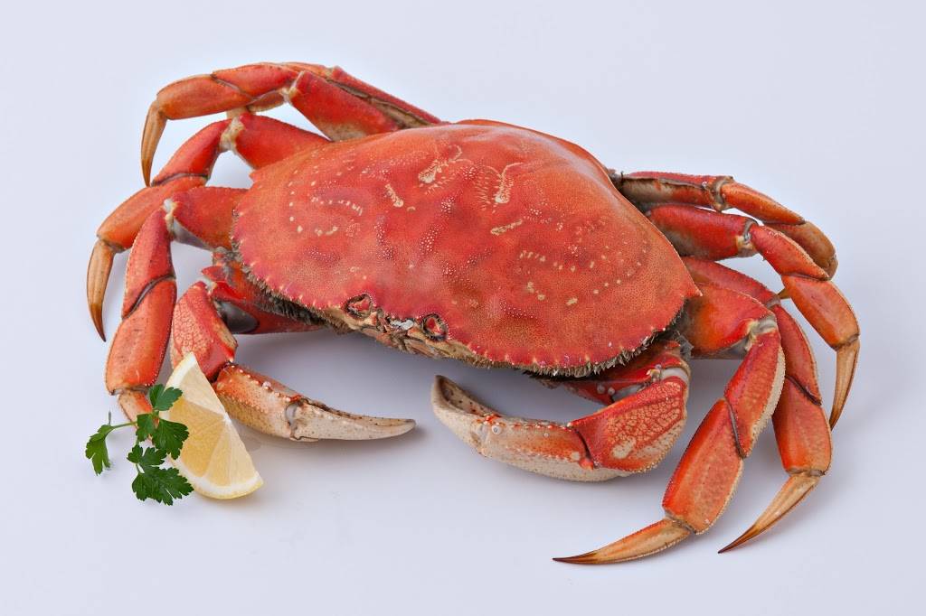 Pucci Foods | restaurant | 25447 Industrial Blvd, Hayward, CA 94545, USA | 5103006800 OR +1 510-300-6800