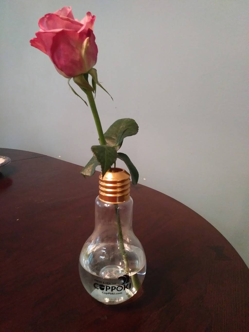 CupPoki (Poke & Ramen) | restaurant | 3333 Buford Dr #1073A, Buford, GA 30519, USA | 6785402526 OR +1 678-540-2526