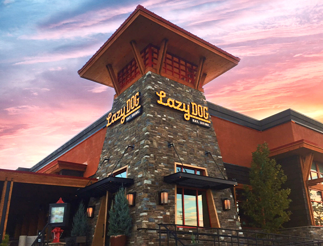 Lazy Dog Restaurant & Bar | restaurant | 2208 Bridgepointe Pkwy, San Mateo, CA 94404, USA | 6505146772 OR +1 650-514-6772