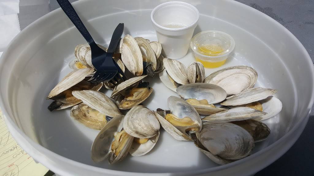 Alive & Kicking Lobsters | restaurant | 269 Putnam Ave, Cambridge, MA 02139, USA | 6178760451 OR +1 617-876-0451