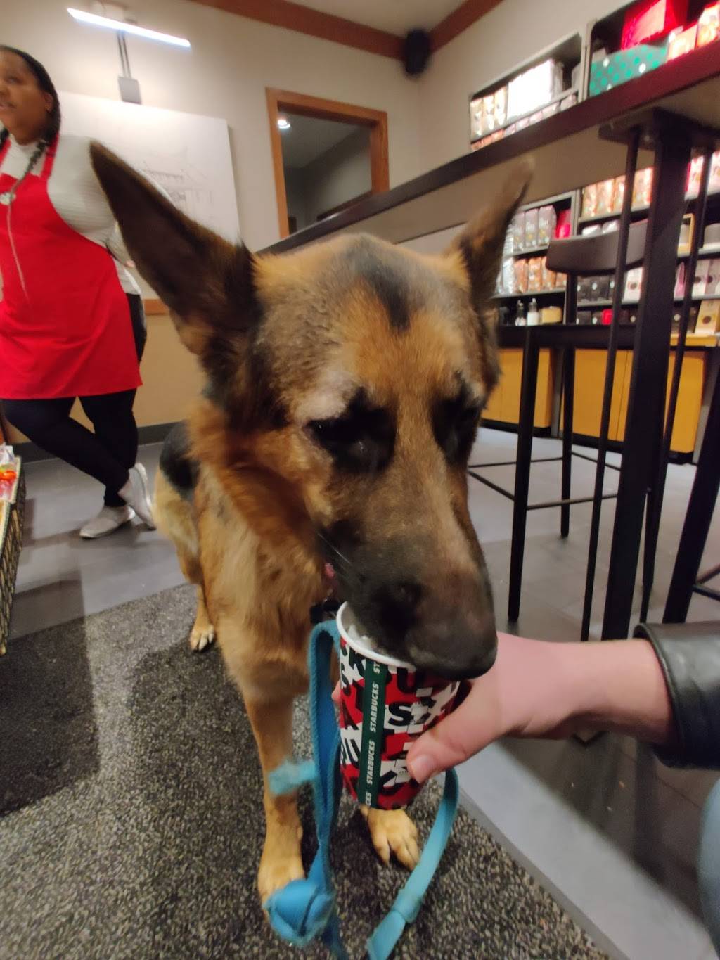 Starbucks | cafe | 13939 Cedar Rd #1E, South Euclid, OH 44118, USA | 2163715438 OR +1 216-371-5438