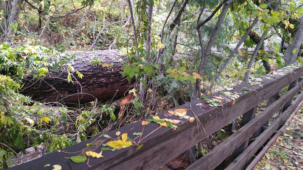 Alexanders Station Steakhouse and Event Center | restaurant | 400 Railroad Ave suite 1, Nevada City, CA 95959, USA | 5302654492 OR +1 530-265-4492