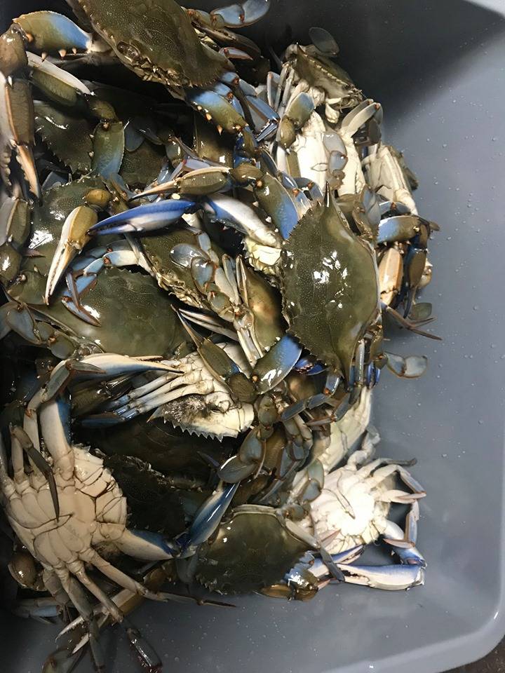 Blue Crab Juicy Seafood | meal takeaway | 8340 Kelly Ln, Indianapolis, IN 46250, USA | 3178272000 OR +1 317-827-2000